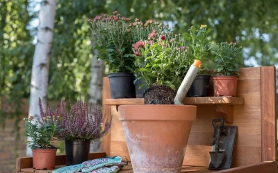 Fall Container Gardening: 8 Tips to Improve Outdoor Living Spaces