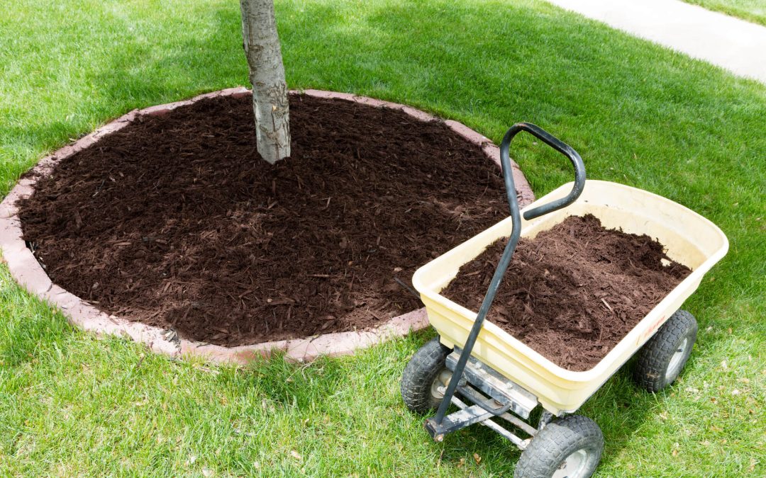 easy landscaping tips