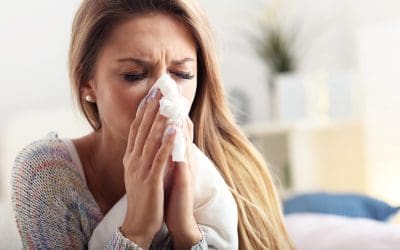 Breathe Easier: Smart Strategies for Allergy-Proofing Your Home
